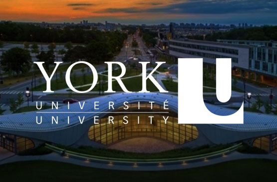 York University